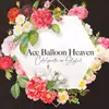Ace Balloon Heaven - @ace_balloonheaven - TikTok