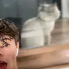 Nathan - @nathan.ski - TikTok