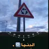 طيور🦅 حرار من ليبيا 🇱🇾 .... - @abdulla_algaray - TikTok