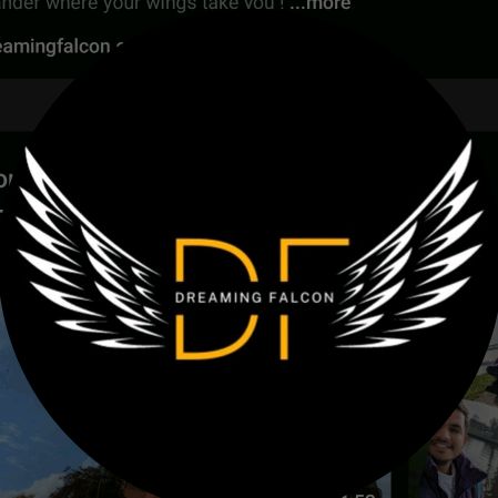 @dreamingfalcon