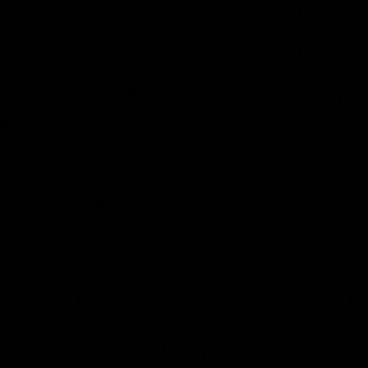 user384742730807
