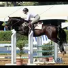 Laura Quint-Renteria - @twooldbroodmares - TikTok